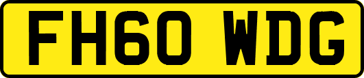FH60WDG