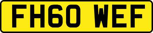 FH60WEF