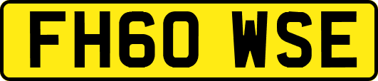 FH60WSE
