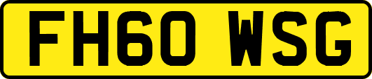 FH60WSG