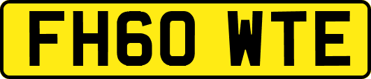 FH60WTE