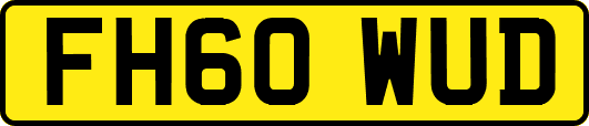 FH60WUD
