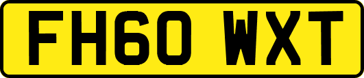 FH60WXT
