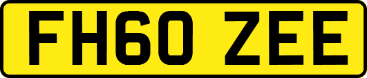 FH60ZEE