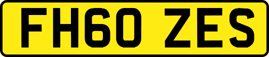 FH60ZES