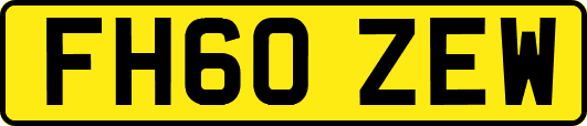 FH60ZEW