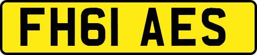 FH61AES