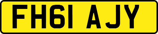 FH61AJY