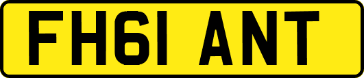 FH61ANT