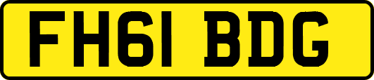FH61BDG