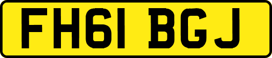 FH61BGJ