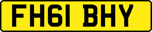 FH61BHY