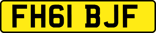 FH61BJF
