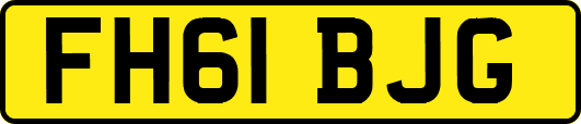 FH61BJG