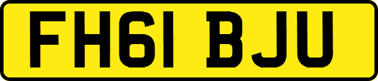 FH61BJU