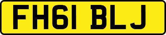 FH61BLJ
