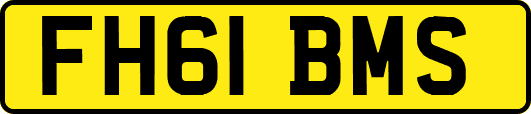 FH61BMS