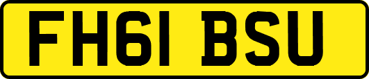 FH61BSU