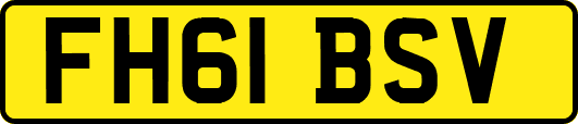 FH61BSV