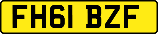 FH61BZF