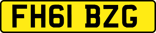 FH61BZG