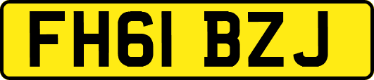 FH61BZJ