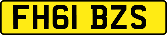 FH61BZS