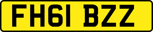 FH61BZZ