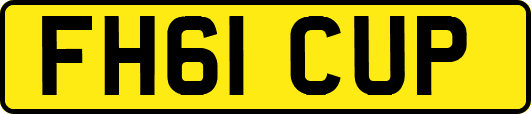 FH61CUP