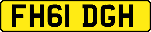 FH61DGH