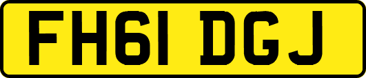FH61DGJ