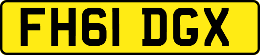 FH61DGX