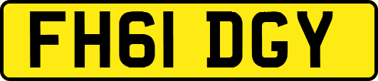 FH61DGY