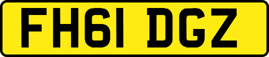 FH61DGZ