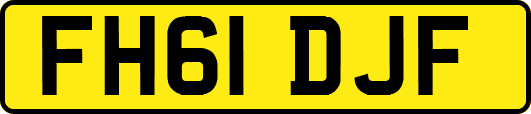 FH61DJF