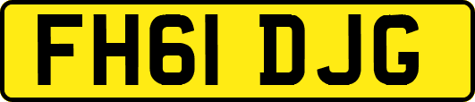 FH61DJG