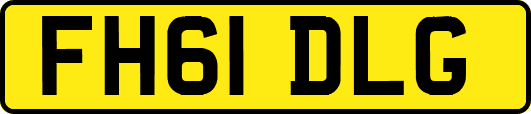 FH61DLG