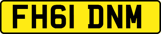 FH61DNM