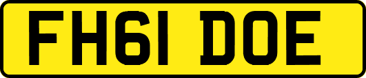 FH61DOE