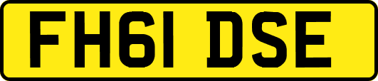 FH61DSE