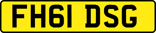 FH61DSG