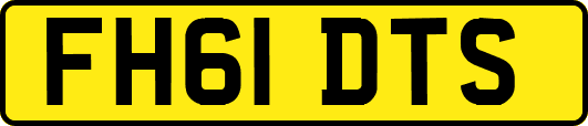 FH61DTS