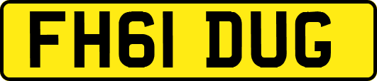FH61DUG