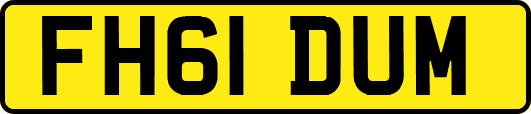 FH61DUM