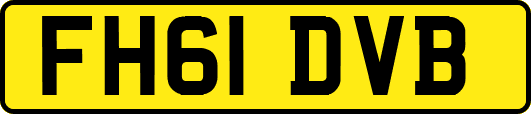 FH61DVB