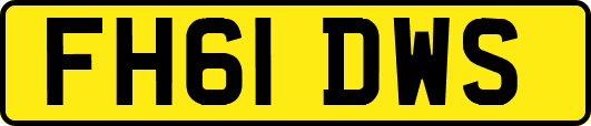 FH61DWS