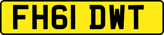 FH61DWT