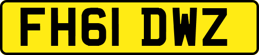 FH61DWZ