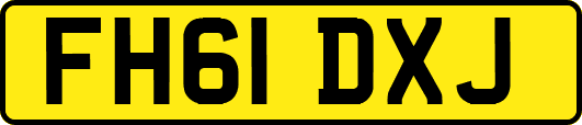 FH61DXJ