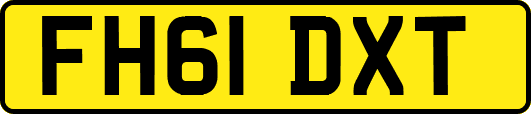 FH61DXT